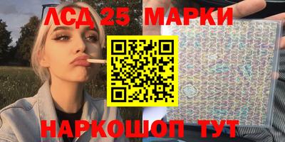 кокс Гатчина