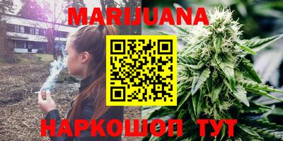 кокс Гатчина