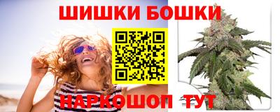 кокс Гатчина
