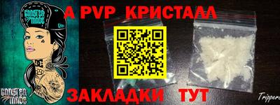 шишки Гагарин
