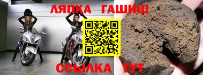 кокс Гатчина