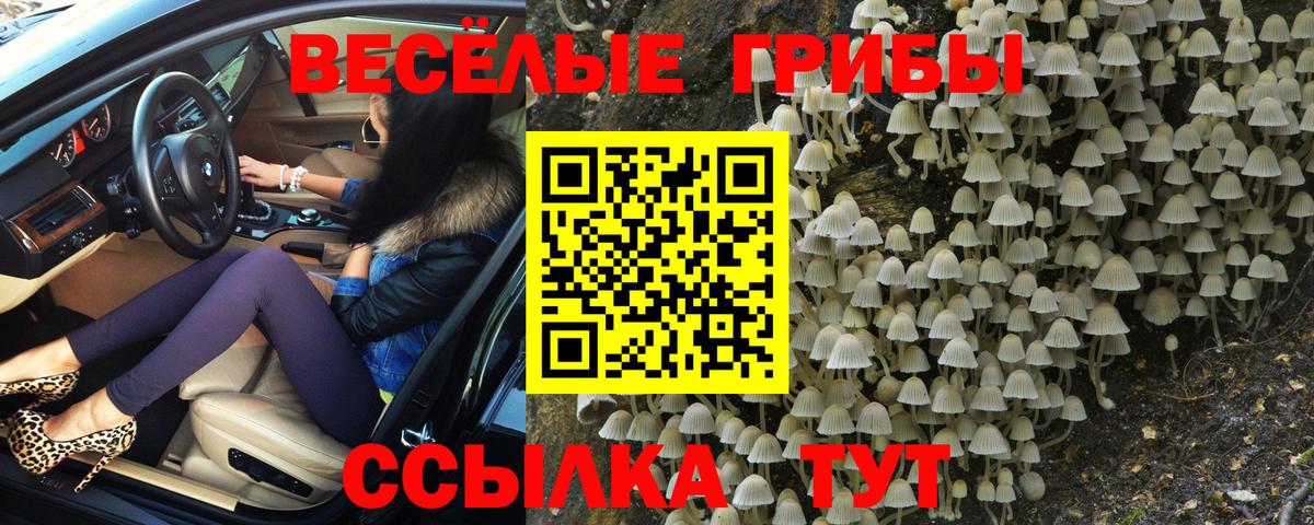 Псилоцибиновые грибы мухоморы  Новошахтинск 