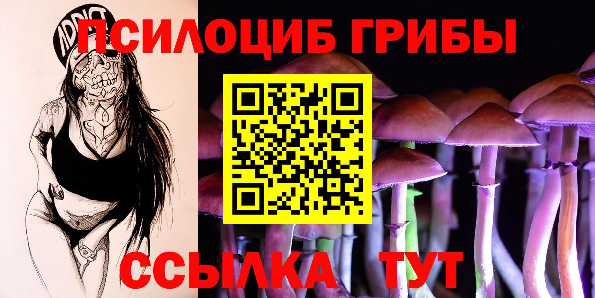 Галлюциногенные грибы MAGIC MUSHROOMS Новошахтинск